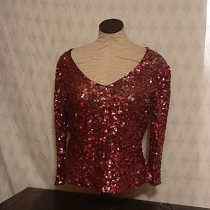 Marina by Marina Bresler  V-Neck Sheer Sequins